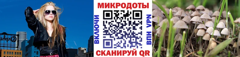 Купить  Углегорск  Галлюциногенные грибы мухоморы 